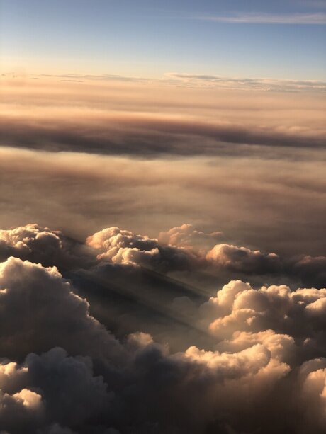 Angie star exclusive image