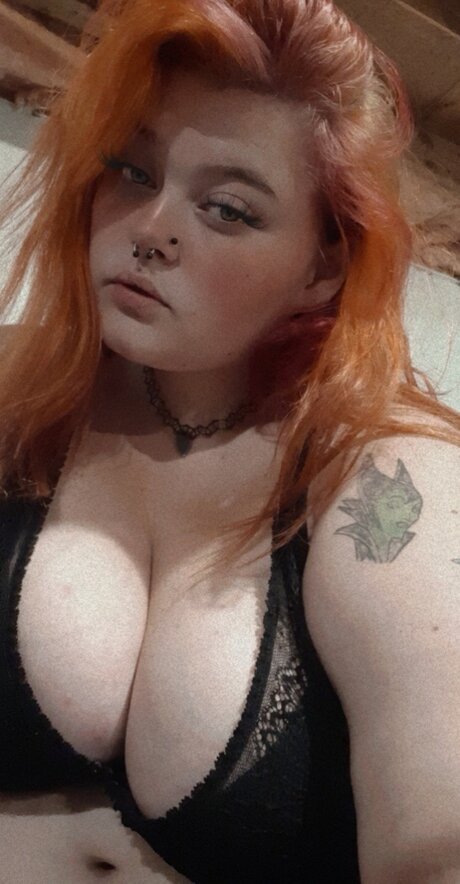 Pumpkin exclusive model galleries