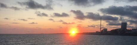 Niamh_ sex star images