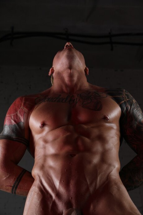 CENTAUR OFF pornstar naked galleries