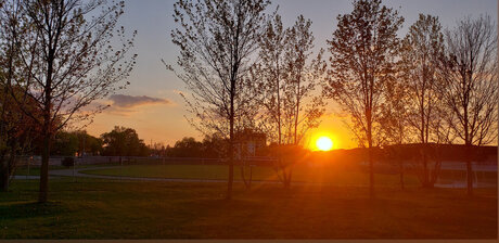 Just a dick pornstar hd pictures