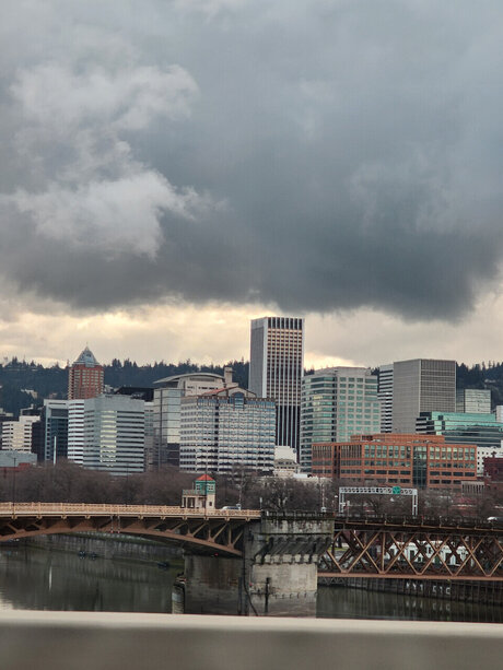 flat chested onlyfans free xxx gallery