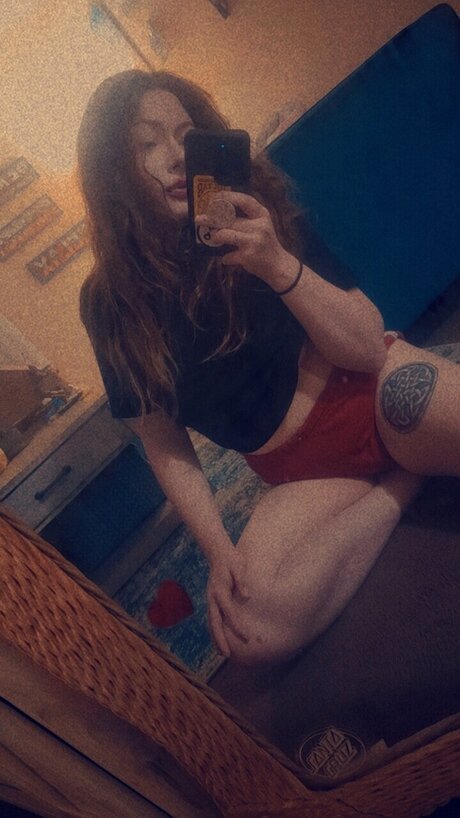 Baby Infidel high quality star galleries