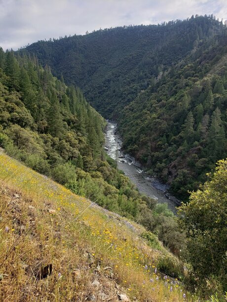 hairy armpits onlyfans sex photo