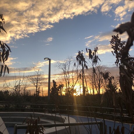 Ander Alejandro model adult photos