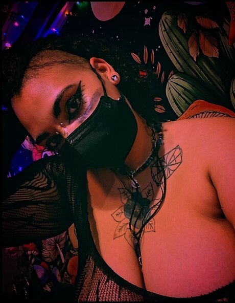 M Dussa model top photo