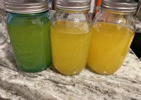 celiabbw erotic pornstar galleries