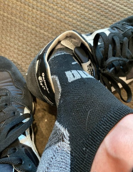 addisonsarches star picture