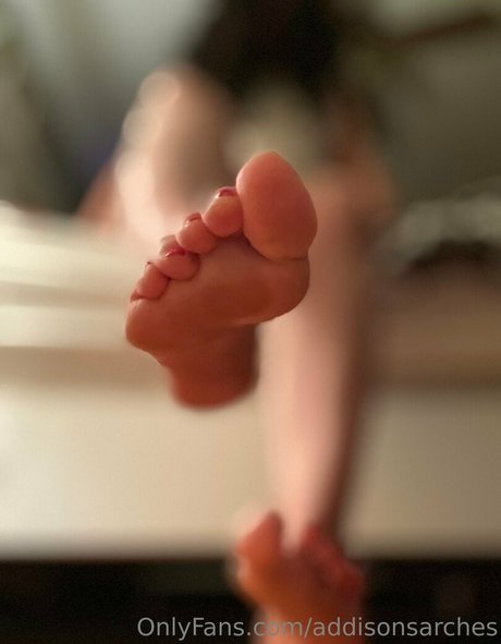 addisonsarches exclusive pornstar archive