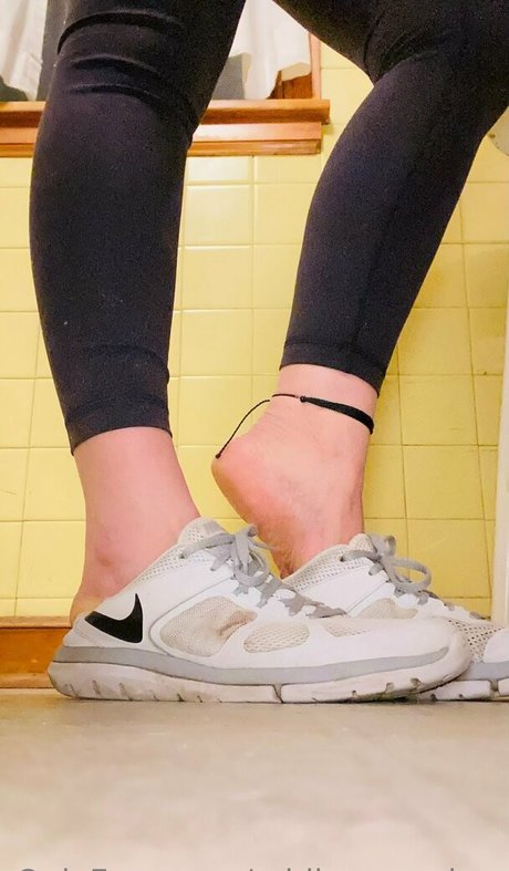 addisonsarches pornstar free archive