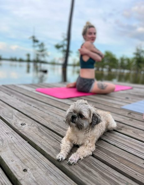 stellafreexxx pretty model galleries