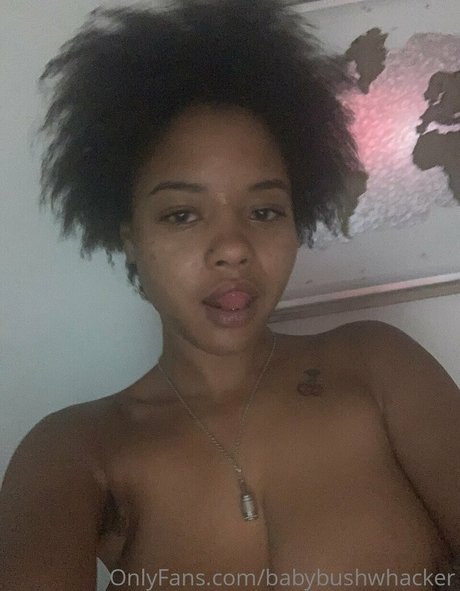 Bush Baby star nice galleries