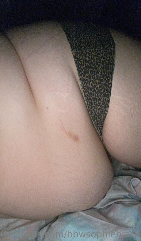 bbwsophieblake star adult image