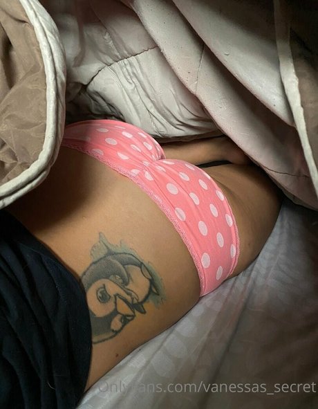 vanessas secret art model photo