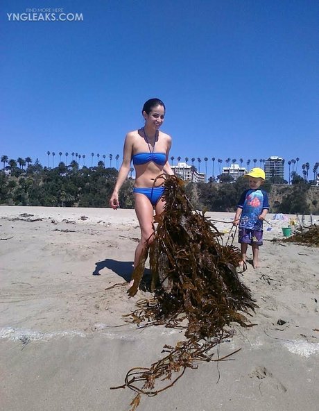 Holly Sedillos pornstar sex gallery