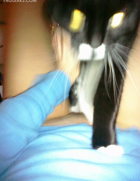 Holly Sedillos xxx pornstar images