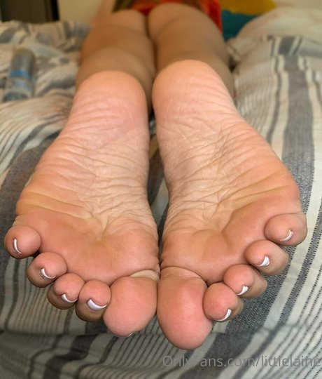 littlelaine free star galleries