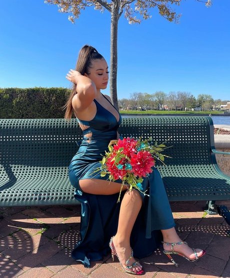 Baylee Adami pornstar art galleries