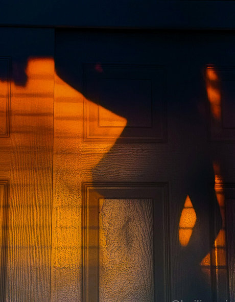 Hailie Rosie erotic model archive