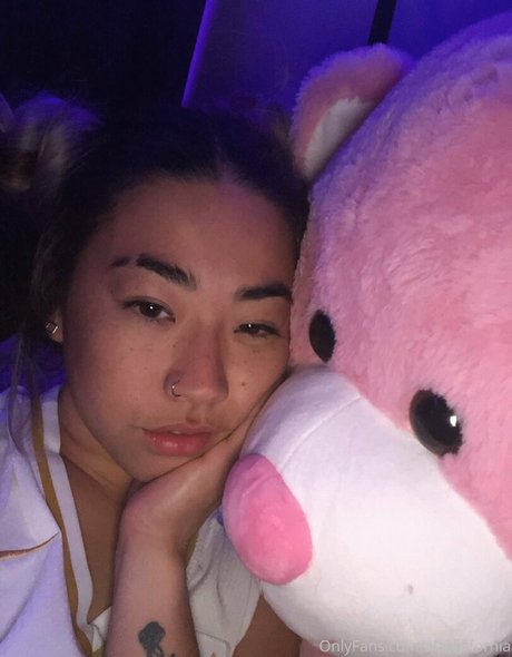 shesthe49thstate free star pictures