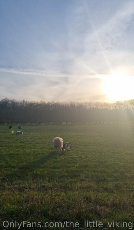 the little viking beautiful pornstar pic