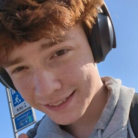 the little viking art model picture