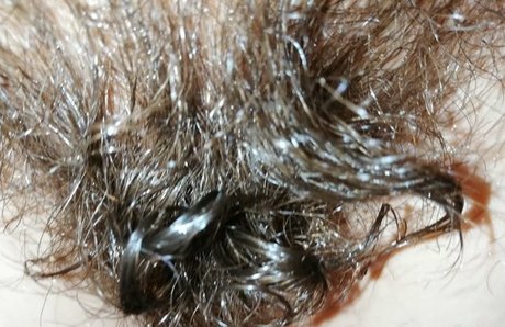 cuteblonde666 top actress images