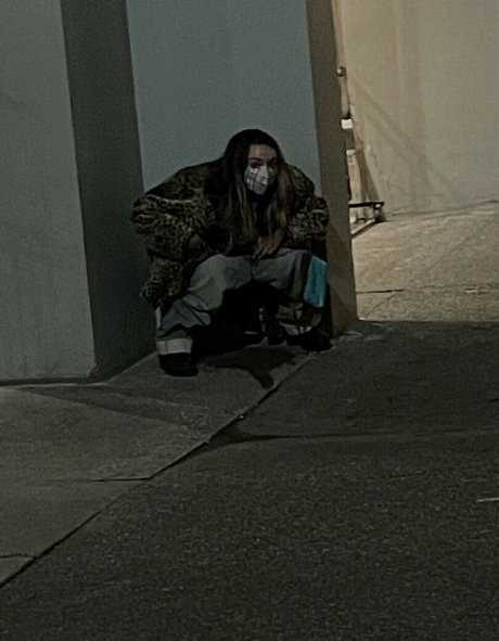 Lilbite star art photos