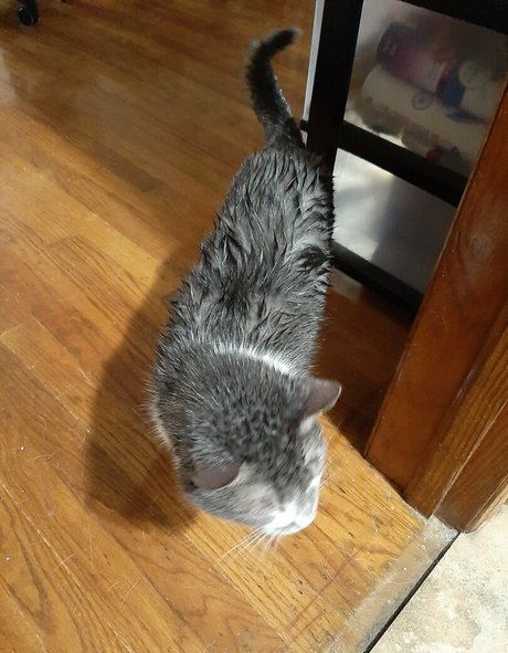 bbc wife onlyfans pornos galleries