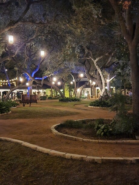 Socialtiger model exclusive pictures