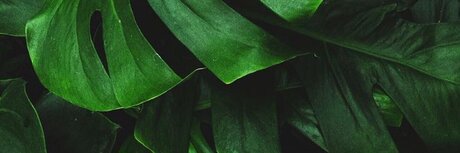 Mr J nudes model gallery