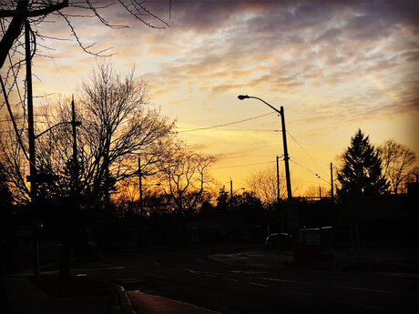 Itslilforbes star nice archive