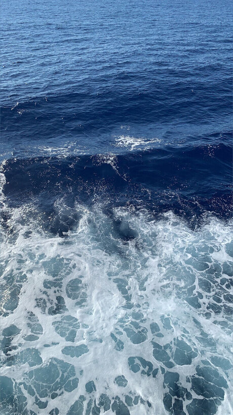 Lily_ star nudes gallery