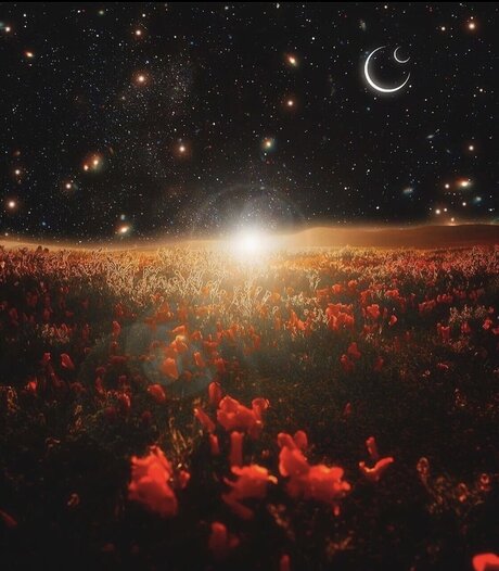 702latino free actress images