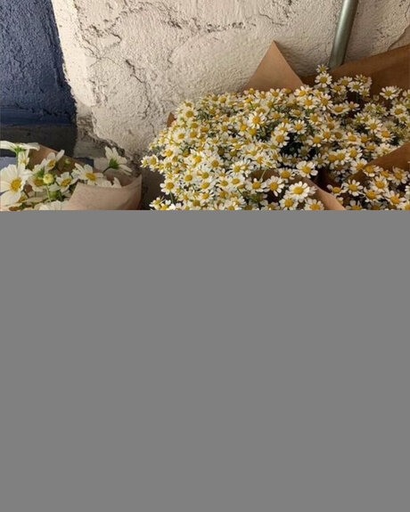 VIP ONFLYFEET_ pornstar art photo