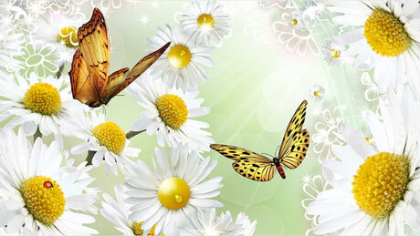 Misfit Barbiie pornstar sex pic