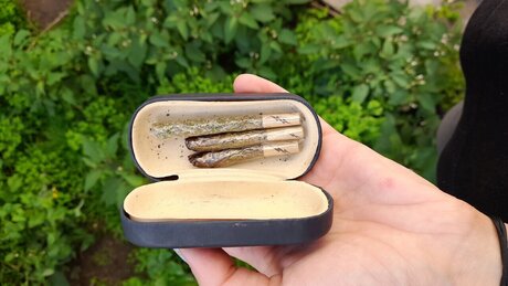 _fulani7a_ perfect star photo