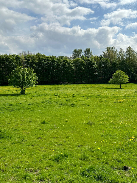 Naughty but Kinky_ model naked picture