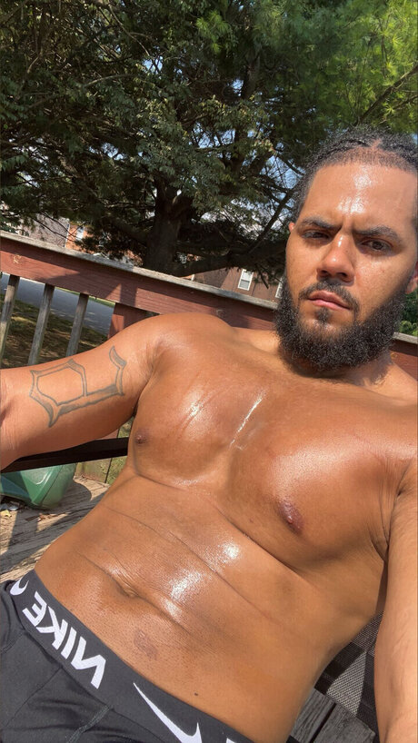 DOG star xxx galleries