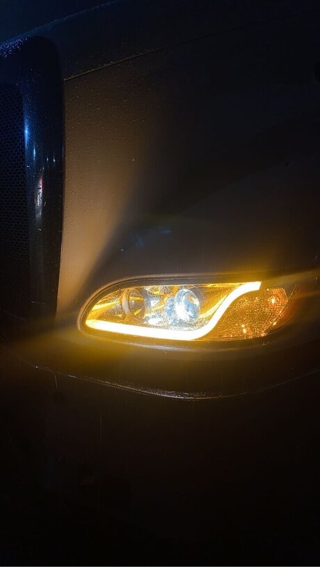 hairy legs onlyfans nude archive