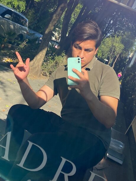 i reypr model art picture