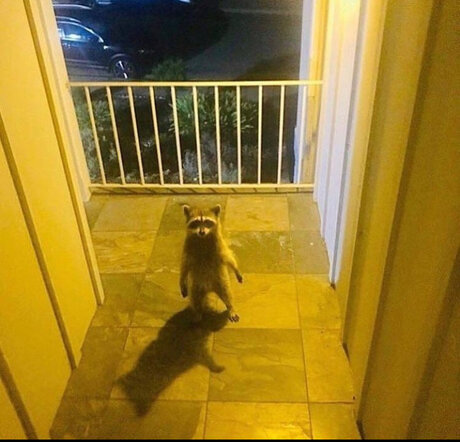 Franklin model art photos