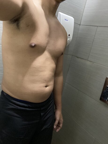 bearchaser model art picture