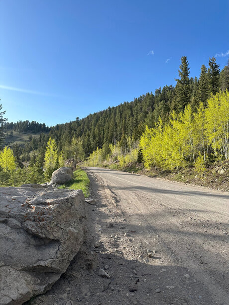 Xae sex pornstar galleries