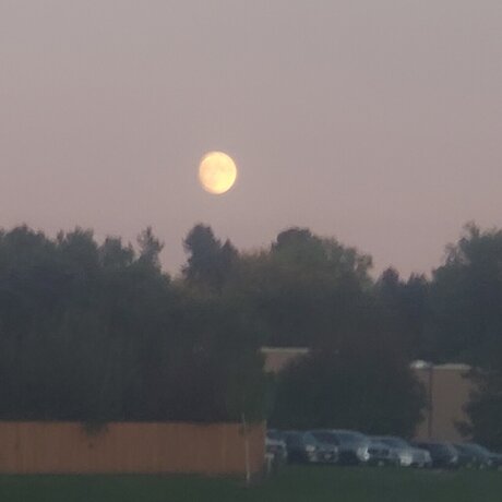 Firebraker art actress pics