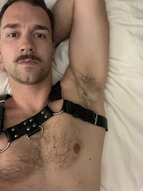 Rhys beautiful star galleries