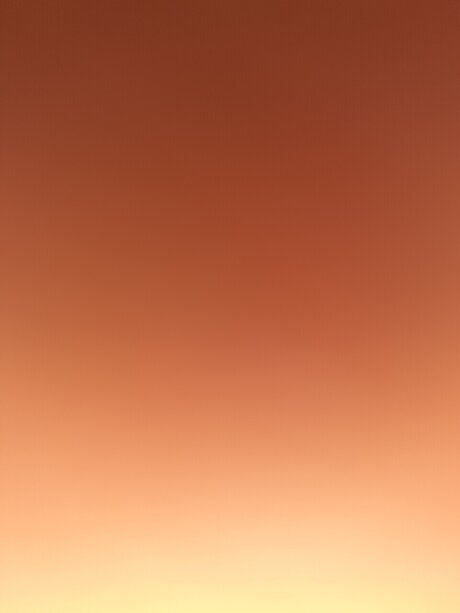 G Rivera model nice photos