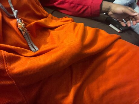 Shedrick star best gallery