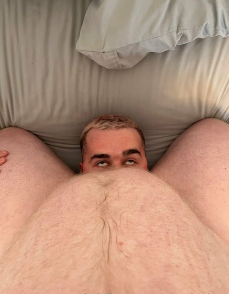 roaminghog star art img