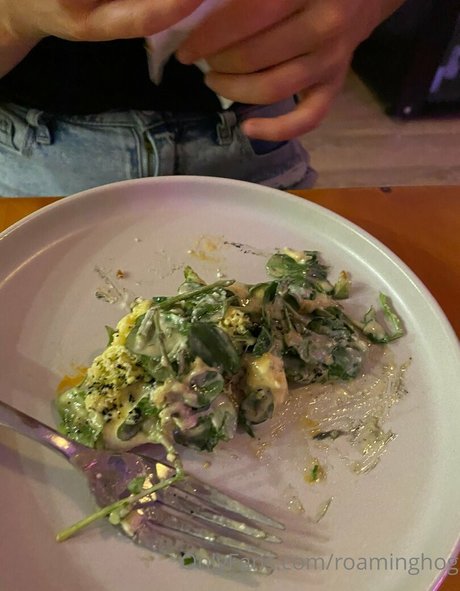 roaminghog pornstar art pics